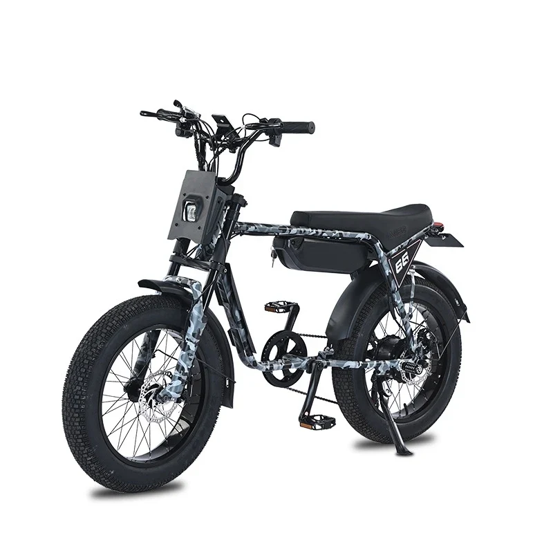 20-Inch Fat Tire Rear Hub Motor 750W Electric City Bike for 2 People with Foot Pegs-Snow & Beach Retro Style