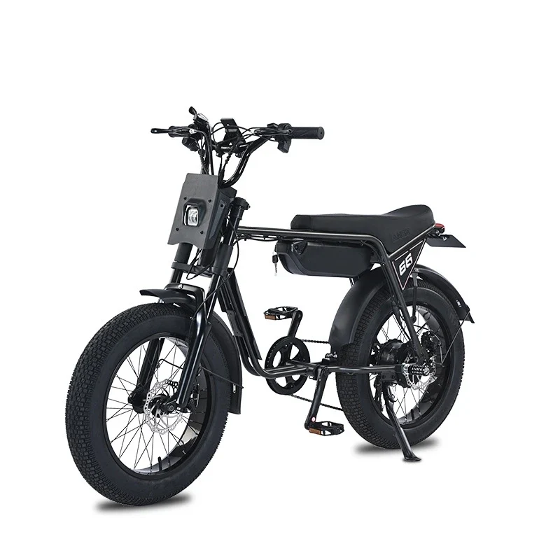 20-Inch Fat Tire Rear Hub Motor 750W Electric City Bike for 2 People with Foot Pegs-Snow & Beach Retro Style