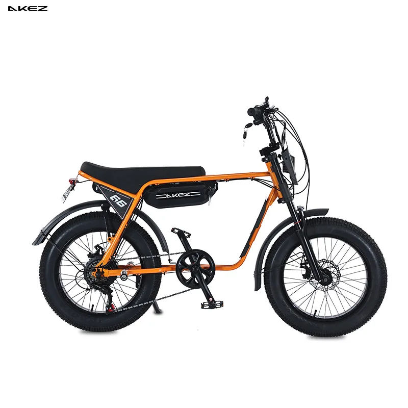 20-Inch Fat Tire Rear Hub Motor 750W Electric City Bike for 2 People with Foot Pegs-Snow & Beach Retro Style