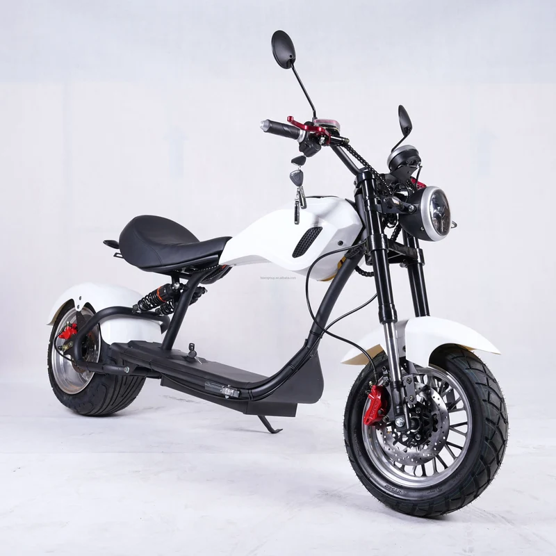 Wide Fat Tire Off Road E Scooter Adult Electric Motorcycle Hydraulic Front Fork Dual Brake Outdoor Travel Mobility Moped