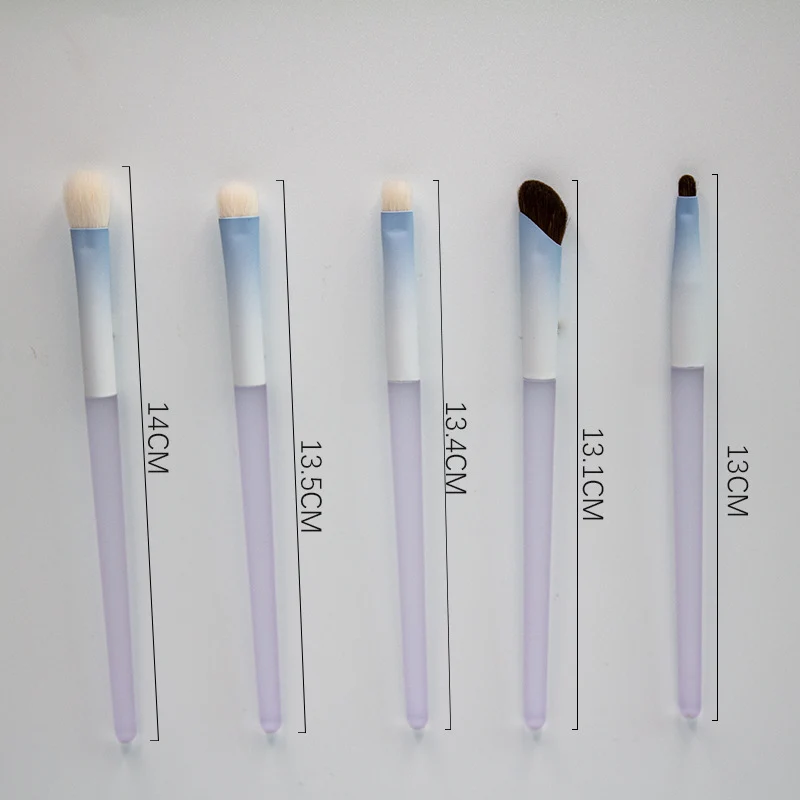 Chen Yuanyuan 10-Piece Makeup Brush Set, Blush Brush, Loose Powder Brush, Eye Shadow Brush, Nose Shadow Brush, Complete Set for Setting Makeup and Contouring