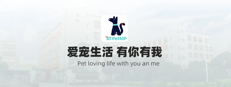 Cross-border Cat Bag Outgoing Portable Pet Bag Large Capacity Pet Space Capsule Cat and Dog Box Shoulder Cat Outgoing Bag