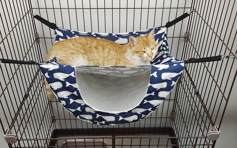 Source manufacturers pet supplies cat cage hammock cat nest cat house cross-border pet supplies pet hanging basket