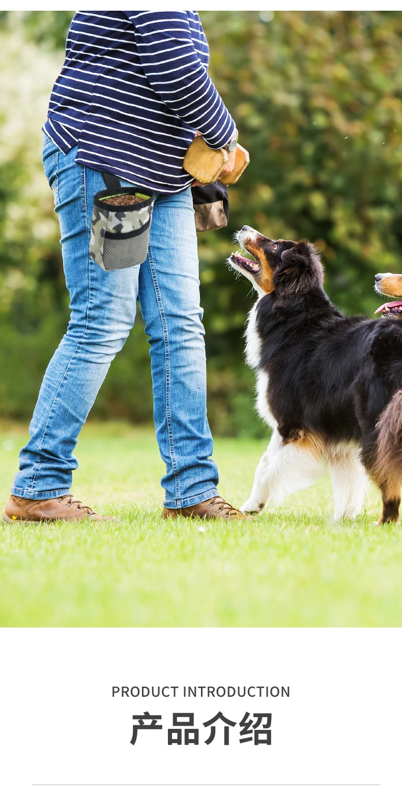 Pet summer supplies mini outdoor portable training bag dog snack bag AliExpress cross-border direct sales