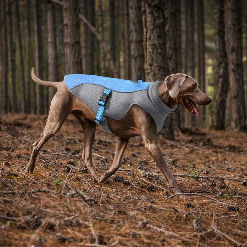 Summer Pet Dog Cooling Vest Heat Resistant Cool Dogs Clothes Breathable Sun-proof Clothing For Small Large Dogs Outdoor Walking