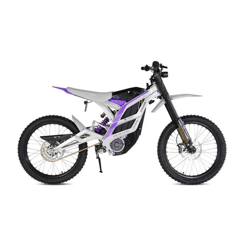 Tc Aluminum Alloy Full Absorber Falcon Electric Off-Road Vehicle Adult 72V Off-Road Motorcycle Mountain Highway 10000W Brushless