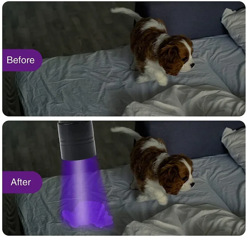 9/12 LED Protable UV Flashlight Black Light 395 NM Ultraviolet Torch Blacklight Detector for Dog Urine Pet Stain and Bed Bug