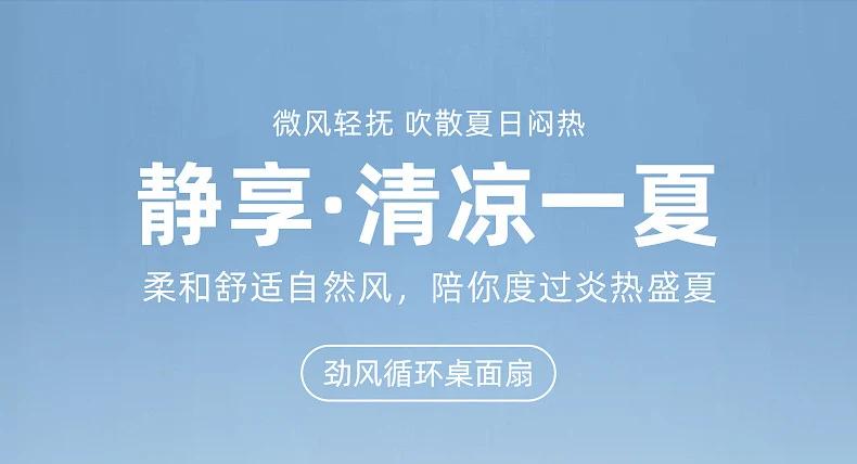 Desktop Electric Fan Large Wind Turbine Small Fan Office Household Desk Fan Silent Electric Fan Air Circulation Fan