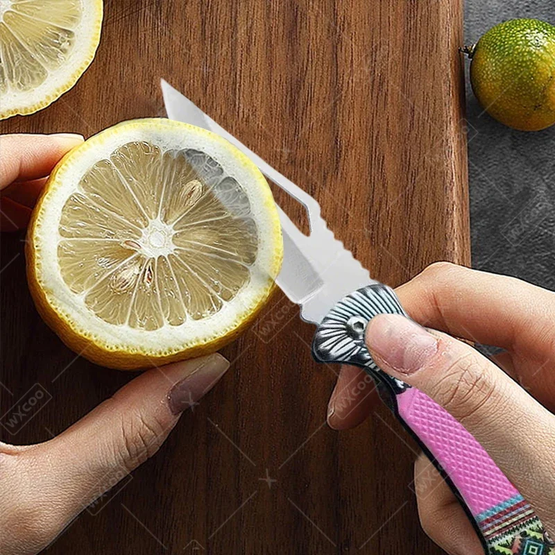 WXCOO Folding Knife Stainless Steel Cooking Kitchen Vegetable Knife Accessories Fruit Peeler Meat Cleaver Pocket Knife Kitchen