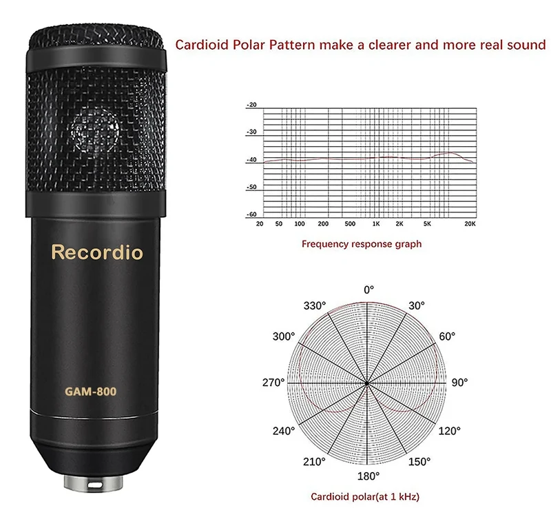 GAM-800R Professional Condenser Microphone R8 Sound Card Set for Webcast Live Recording