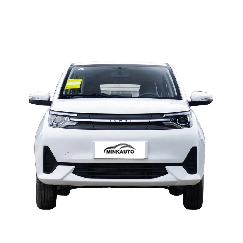 China Long Range Large Space Adults Suv New Electric Ev Car Levdeo Letin mango for Sale