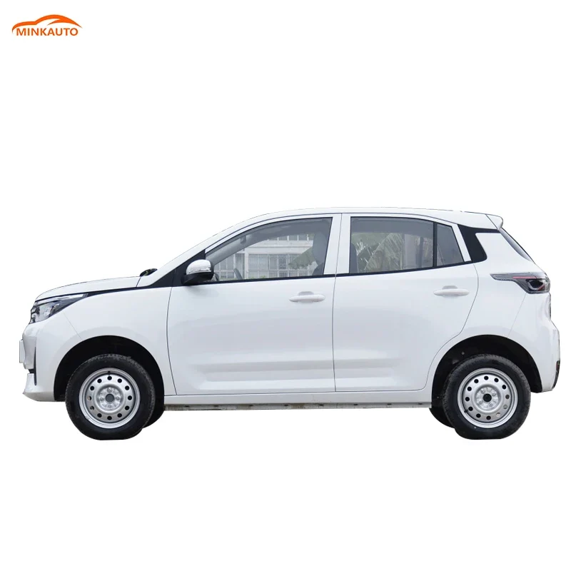 China Long Range Large Space Adults Suv New Electric Ev Car Levdeo Letin mango for Sale