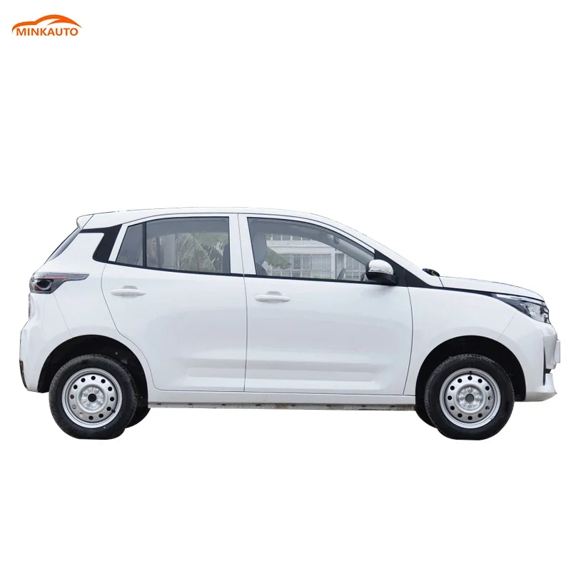 China Long Range Large Space Adults Suv New Electric Ev Car Levdeo Letin mango for Sale