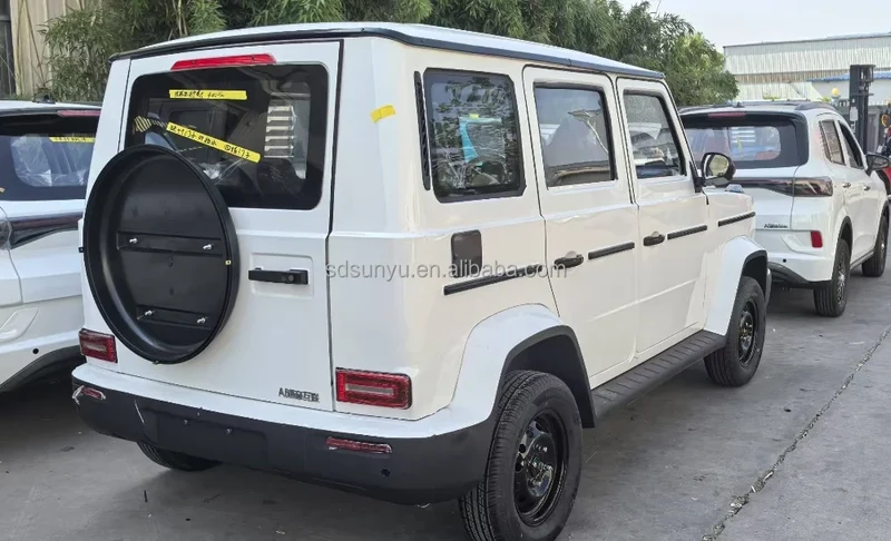 For Geely Panda Mini EV Cheap Small Electric Auto New Energy Vehicle From China Used Cars