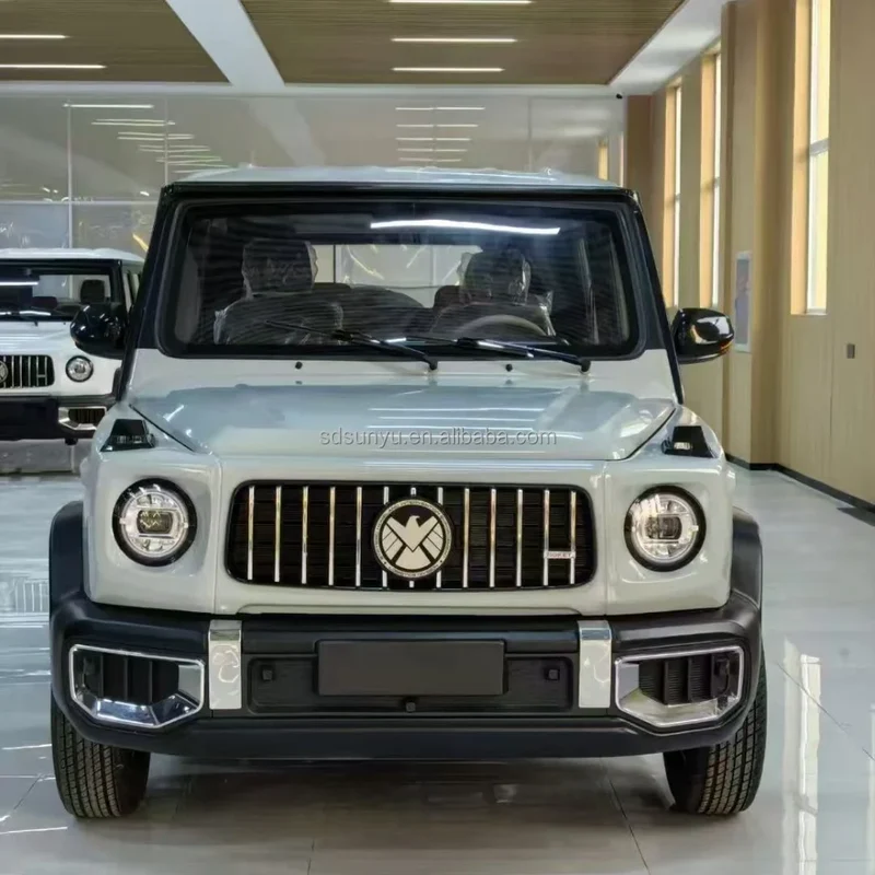 For Geely Panda Mini EV Cheap Small Electric Auto New Energy Vehicle From China Used Cars