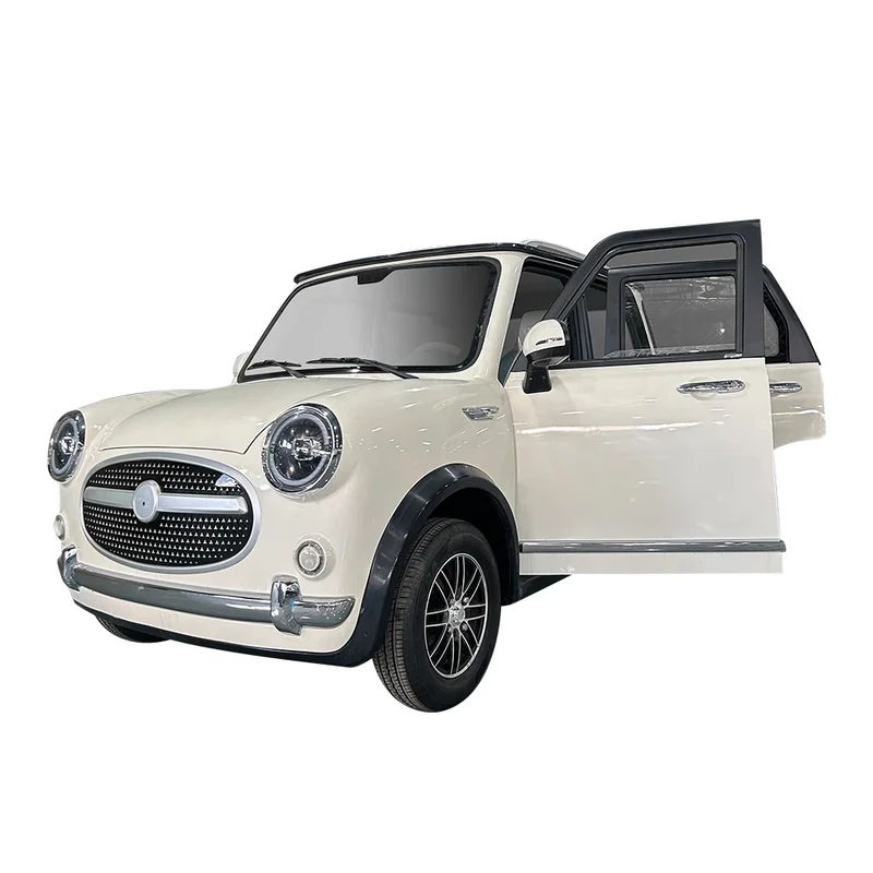 Adults 100A Cheap Electric Car Mini Small Cars for Sale