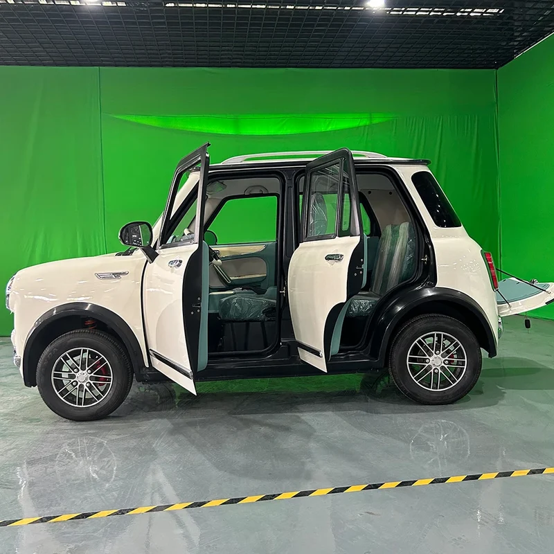 Adults 100A Cheap Electric Car Mini Small Cars for Sale