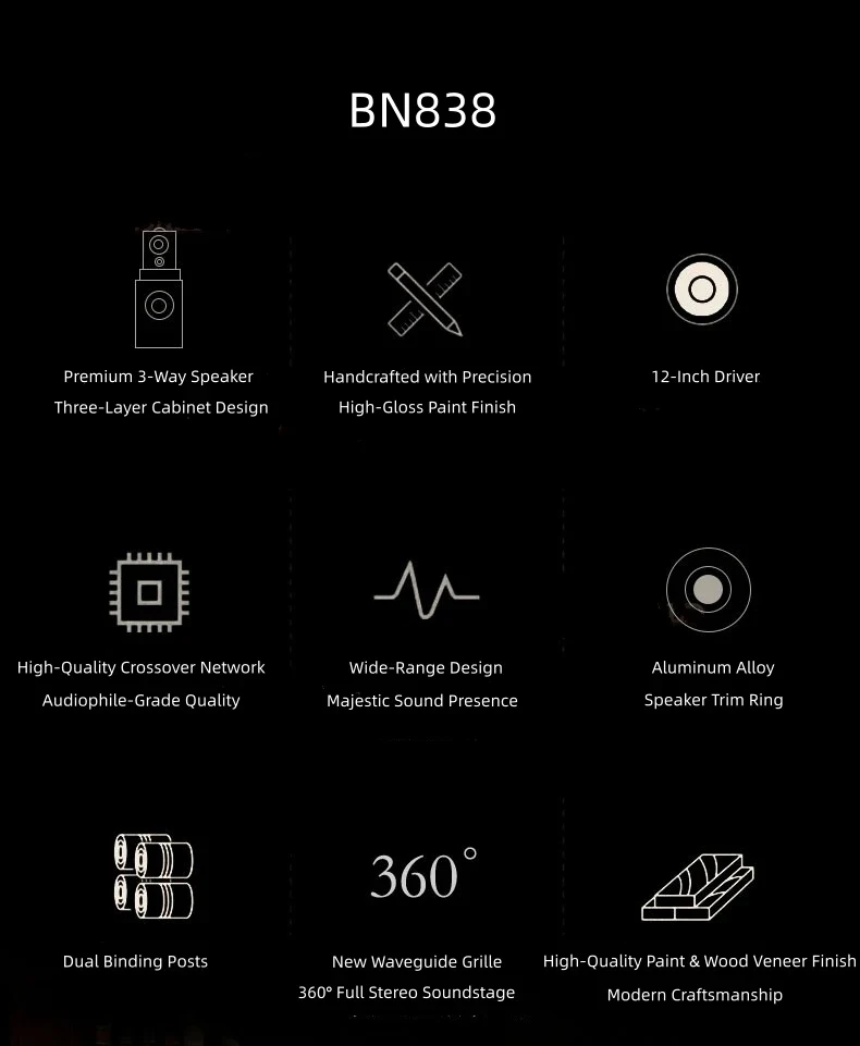 BN838 Hi-Fi Home Theater Speakers with Karaoke Amplifier, Luxury Audio System for Villa & Large Living Rooms