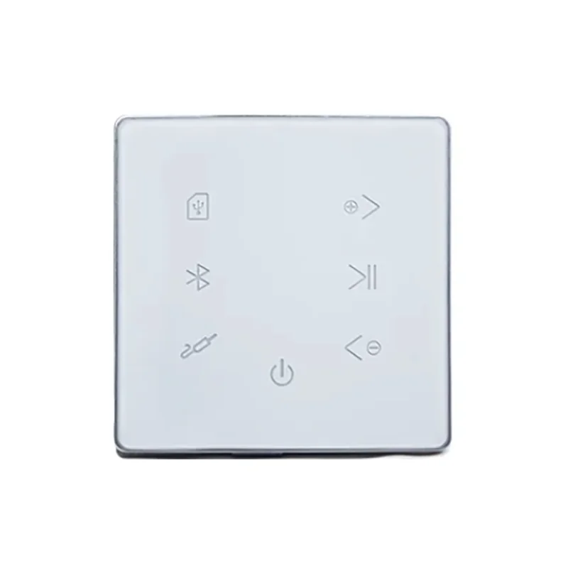 Bluetooth Wall Amplifier Home Theater Sound System Mini Audio Amplificador Smart Background Stereo Music Amp Hotel Restaurant