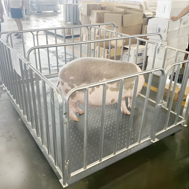 High Quality Carbon Steel 5 Ton Cattle Weighing Scales Industrial Electronic Balance Platform Floor Weighing Scales for Sale
