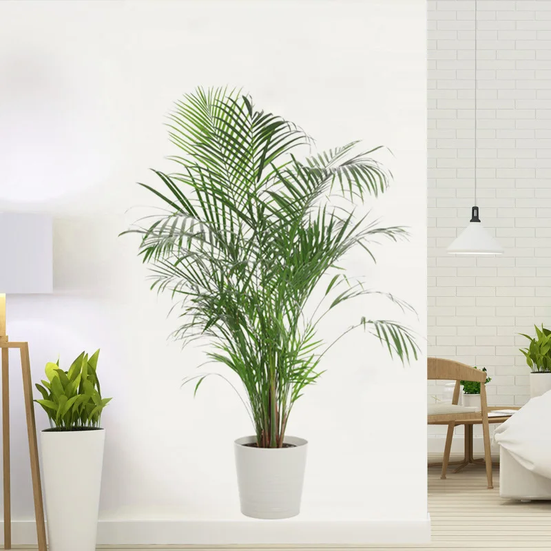 16 Styles Large Tropical Green Plants Wall Stickers Palm Leaves PVC Living Room Art Vinyl Poster Wallpaper Home Decoration Mural