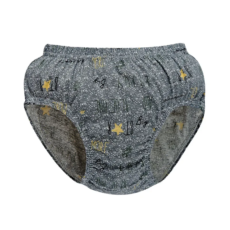 Exquisite Box Package Boys Underwear Soft Breathable Cotton Briefs For Boys Cartoon Dinosaur Kids Panties Knickers Multipack