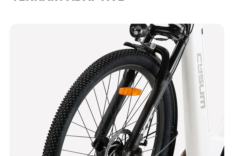 Cysum X-City Adult E-Bike 250W E-Bike for Men 48V 10.4ah Battery 26-Inch Tyre City E-Bike