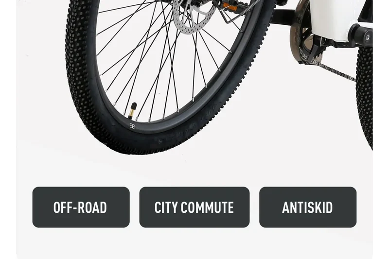 Cysum X-City Adult E-Bike 250W E-Bike for Men 48V 10.4ah Battery 26-Inch Tyre City E-Bike