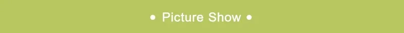2/3/5L Garden Sprayer Water Pump Pressure Sprayer Adjustable Strap Plant Spray Bottle Lawn Agriculture Gardening Irrigation Tool