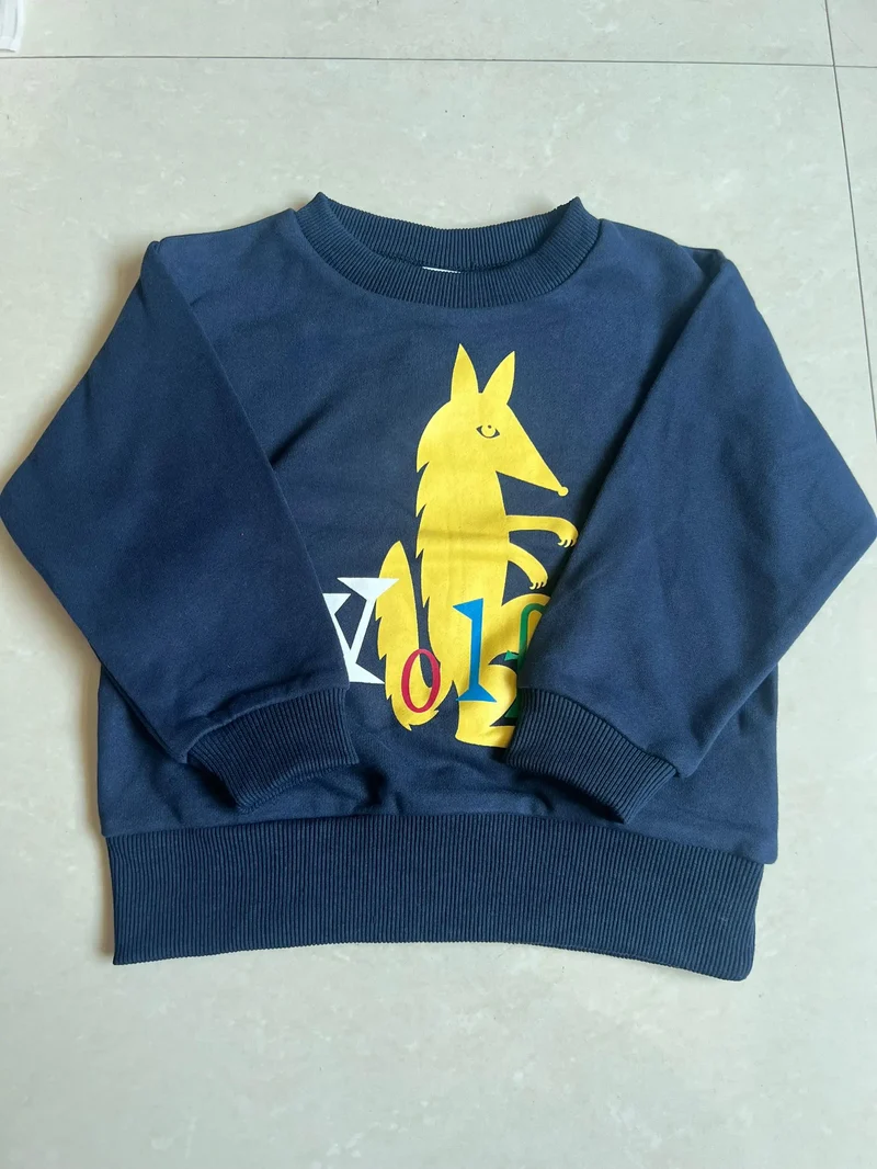 2025 Autumn Kids Sweaters Printed Girl Boy Casual Sweatshirts Long Sleeve Children Pullover Pant Set Clothes