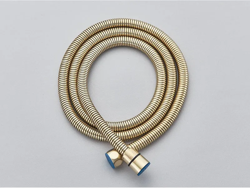 Brushed Gold Handheld Toilet Bidet Sprayer Stainless Steel Bidet Shower Hygienic Shower Wall Toilet Bidet Sprayer Cold Water
