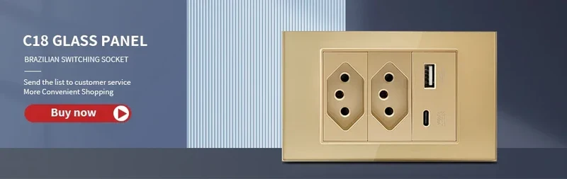 DELEFU 4*2 White Tempered Glass Brazil Standard Outlet with Double USB Type C Wall Power Socket Smart Switch Tuya Wifi 10A 20A