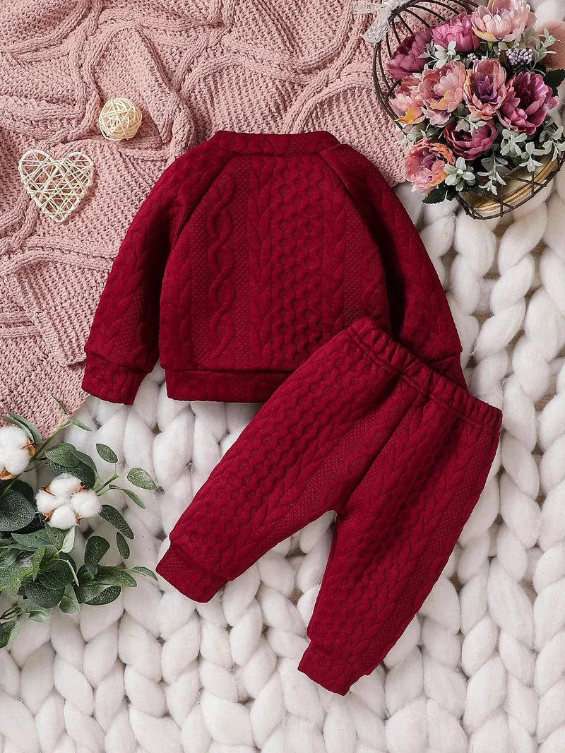 Baby unisex Solid Autumn 2Pcs Casual Outfits Long Sleeve Sweatshirt & Fall Pants For Daily