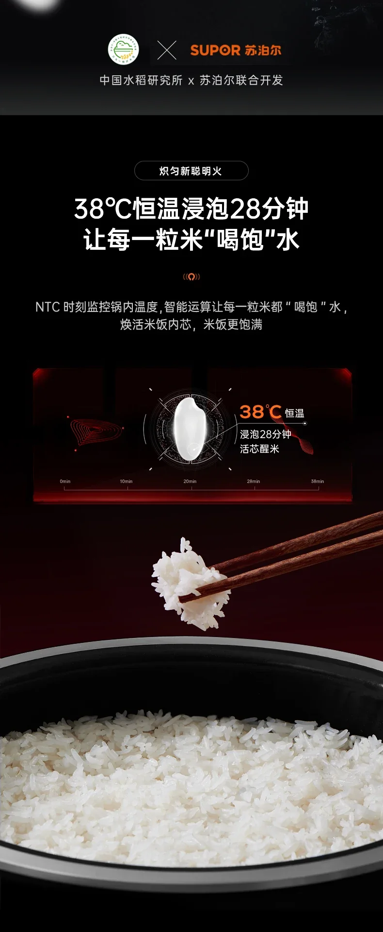 Far-infrared Kettle Rice Cooker Household 4 Liters Large-capacity Smart Rice Cooker Rice Cooker 220V Electric