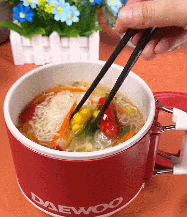 Multifunctional Electric Cooker Handle Foldable Electric Cooker