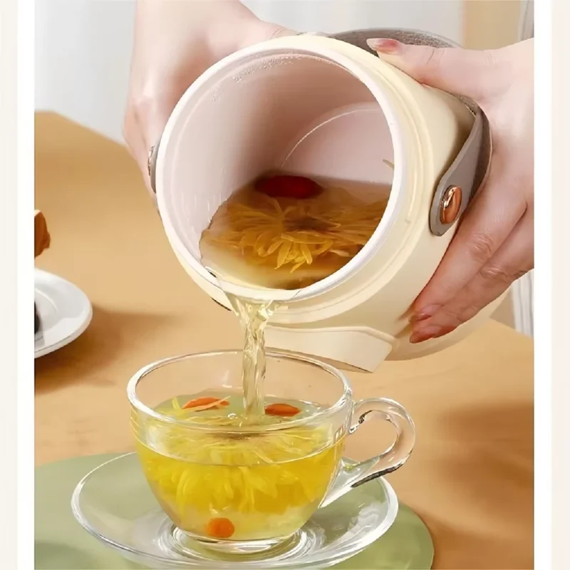 HOMEFISH Multifunctional Rice Cooker Portable Small Travel Electric Kettle Household Hot Pot with 110V US/220V EU Plug
