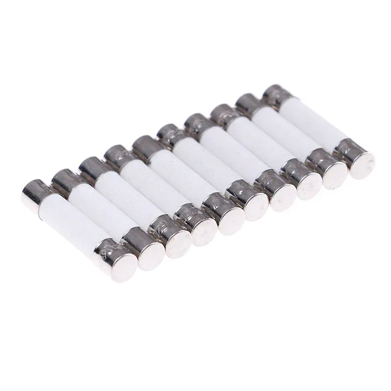 10 Pcs Microwave Ceramic Fuse Electric 20A 250V Home Supplies DIY 6x30mm Wholesale
