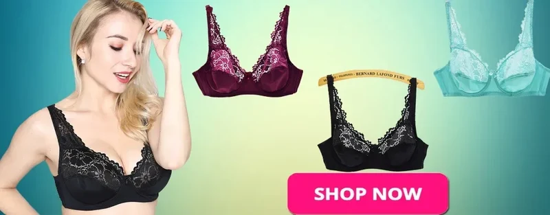Bras For Women Embroidery Underwire Sexy Bra Female Underwear Bralette Lingerie BH Top A B C D Cup