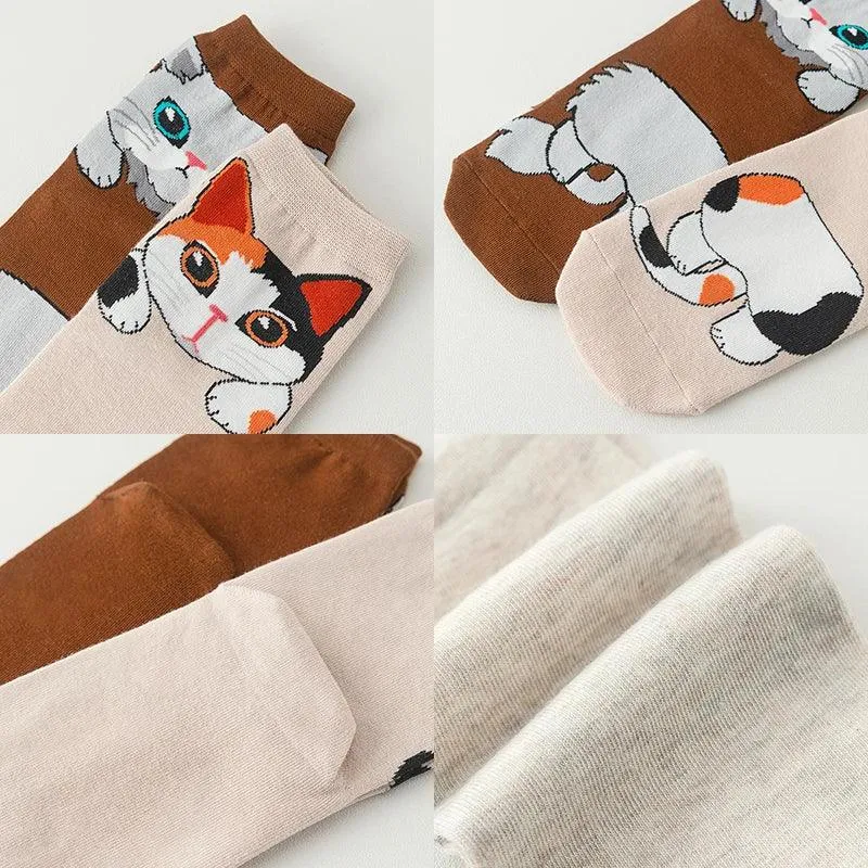1/5 Pairs New Arrivals Women Socks Cartoon Animal Cat Spring Autumn Kawaii Comfortable School Girls Female Casual Funny Socks