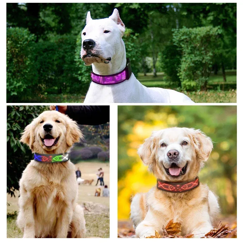 LED Dog Collar DIY ID LED Tag Nameplate Night Glowing Pet Collars Adjustable Safety Puppy Collar for Small Medium Large Dogs