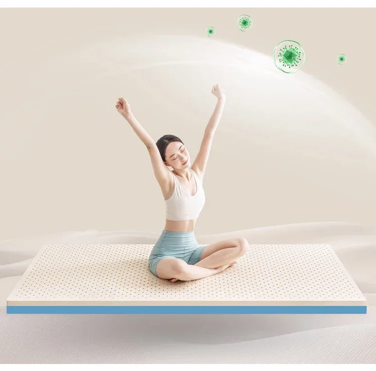 Latex memory foam Mattresses Tatami Floor Mat Foldable Slow Rebound home hotel luxury top Mat Gift Latex sponge Mattresses